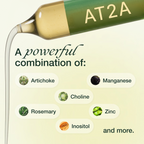 AT2A Belly Fat Protocol