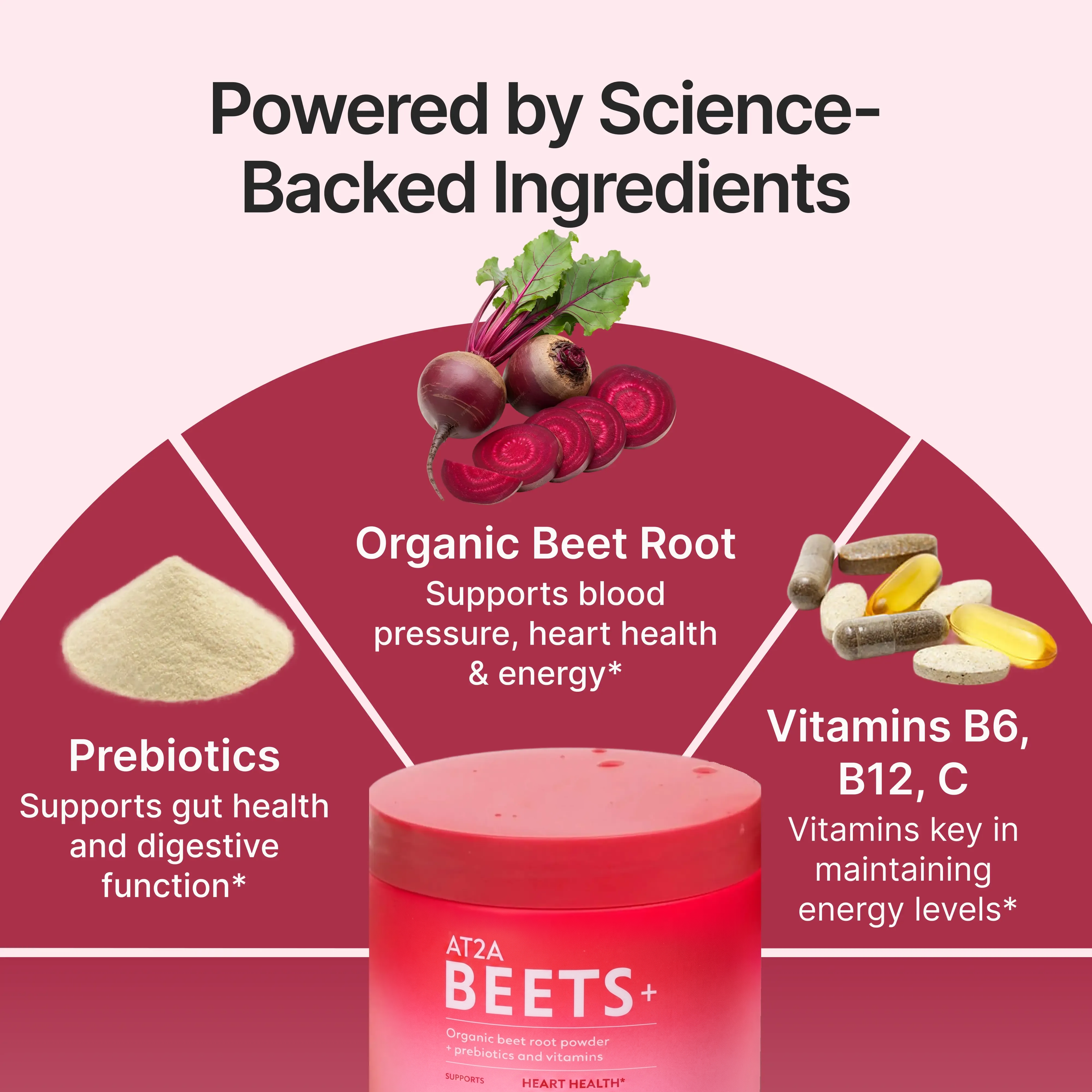 AT2A Beets+